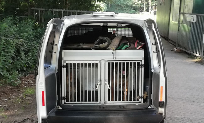 Dakventilator honden- en dierentransport